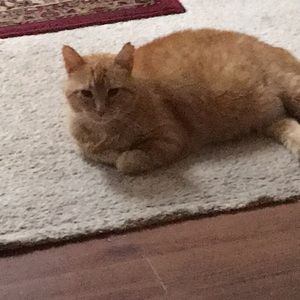 Meet your Posher, Jan